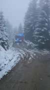 forstunfall-1.jpg