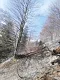 img_20200407_115634.jpg