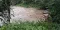img_20200702_202054.jpg